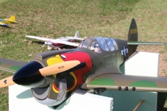 P40 beim Anfliegen 2017