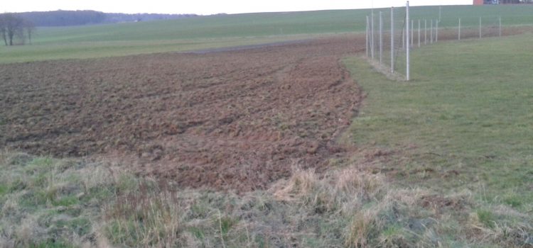 Information zum aktuellen Stand der Platzsanierung Information zum aktuellen Stand der Platzsanierung